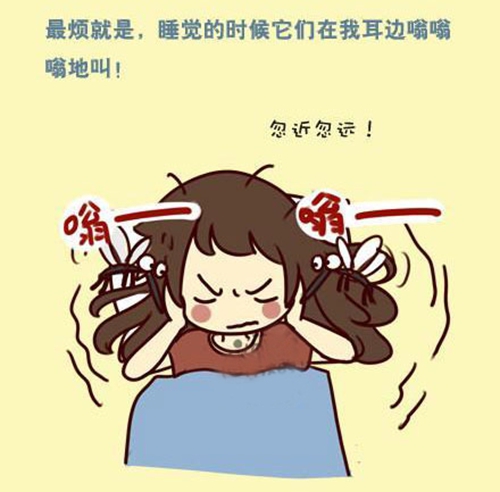 蚊子醒了！快走進紗窗世界，遠離蚊蟲so easy！